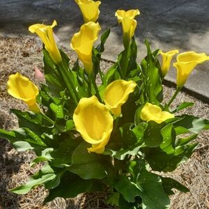 Meet your Posher, Posh